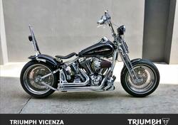 Harley-Davidson 1450 Springer Classic (2005) - FLSTSCI usata