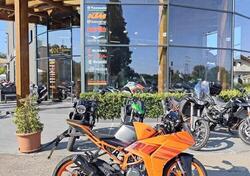 KTM RC 390 (2022 - 24) nuova