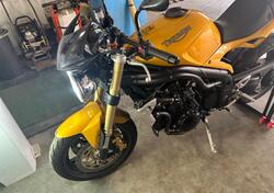 Triumph Speed Triple 1050 (2005 - 11) usata