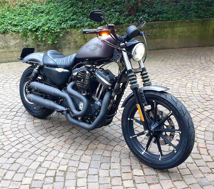 Harley-Davidson 883 Iron (2014 - 16) - XL 883N (2)