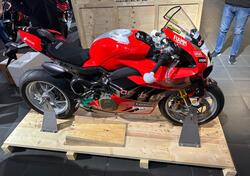 Ducati Panigale V4 Bautista 2022 World Champion Replica (2023) usata