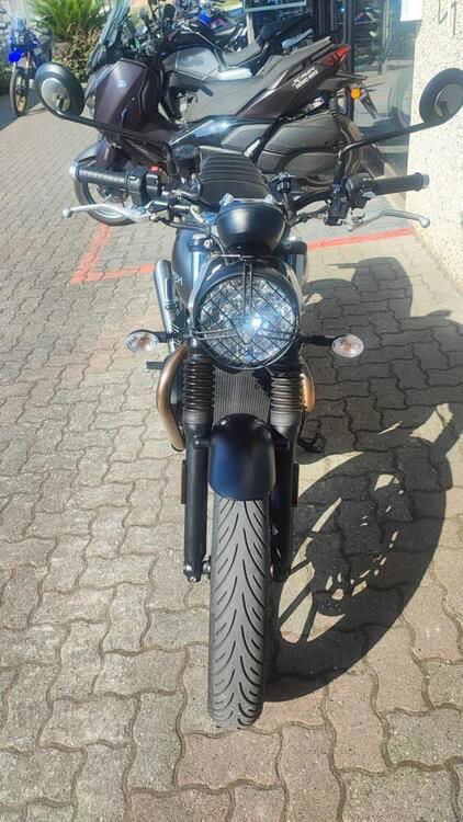 Triumph Speed Twin 900 (2023 - 24) (3)