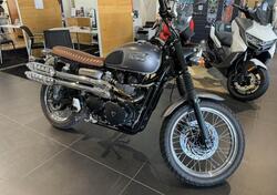 Triumph Scrambler (2006 - 17) usata