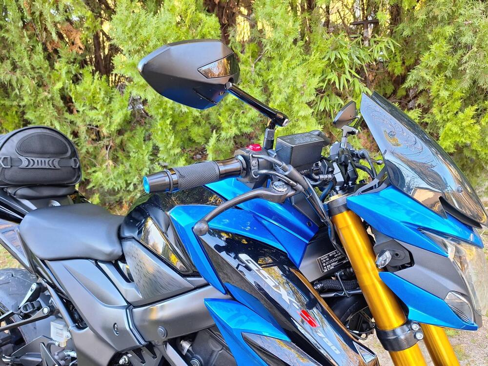 Suzuki GSX S 750 Yugen (2018 - 20) (3)