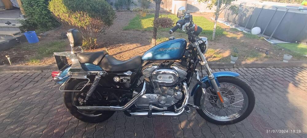 Harley-Davidson 883 (2006 - 07) - XL (3)