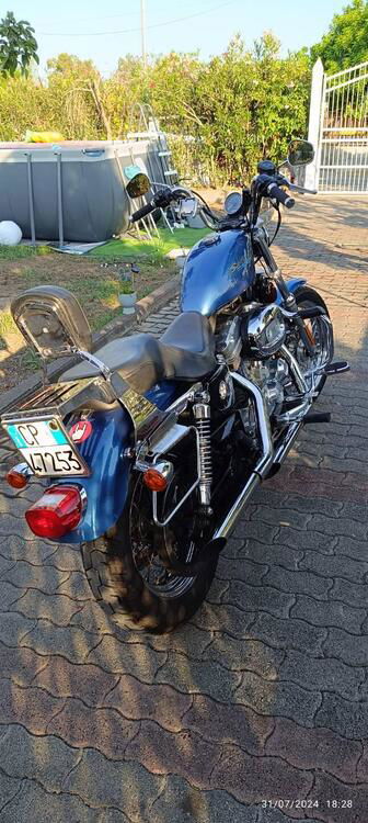 Harley-Davidson 883 (2006 - 07) - XL (2)