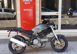 Ducati Monster 600 (1994 - 02) usata