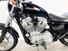 Harley-Davidson 883 (2006 - 07) - XL (16)