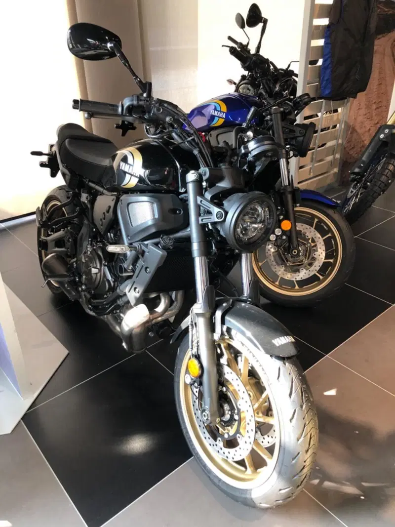 Yamaha XSR 700 (2022 - 26)