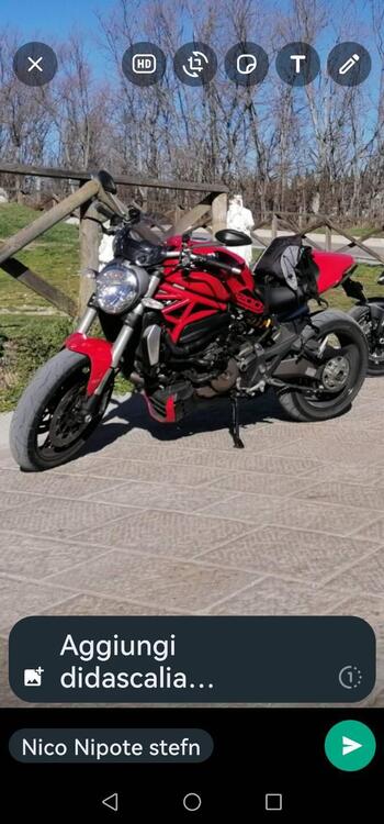 Ducati Monster 1200 (2014 - 16) (2)