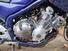 Yamaha XJ 600 S Diversion (8)