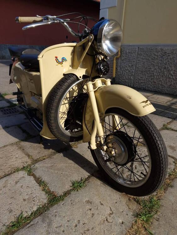 Moto Guzzi 192 GALLETTO GIALLO (2)