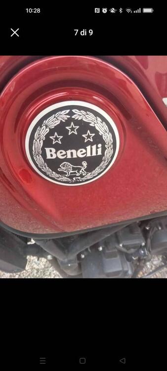 Benelli Leoncino 500 (2021 - 24) (4)