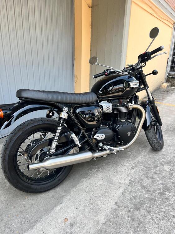 Triumph Bonneville T100 (2021 - 24)