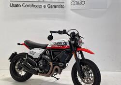 Ducati Scrambler 800 Urban Motard (2022) usata