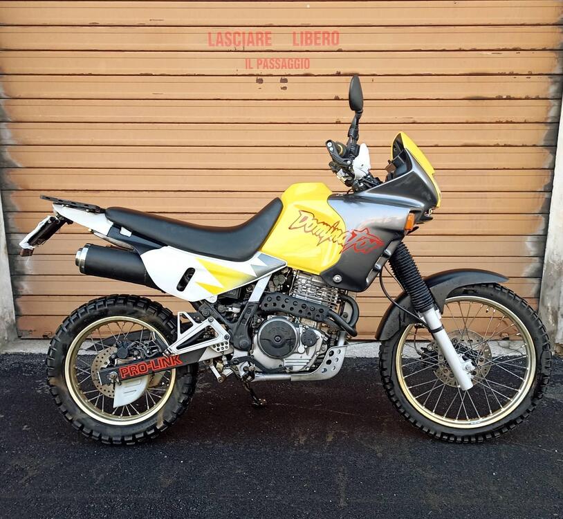 Honda NX 650 Dominator 