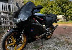 Aprilia RS 125 (2003 - 05) usata