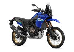 Yamaha Ténéré 700 Extreme Edition (2023 - 24) usata