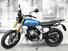 Fantic Motor Caballero 500 Scrambler (2024) (6)