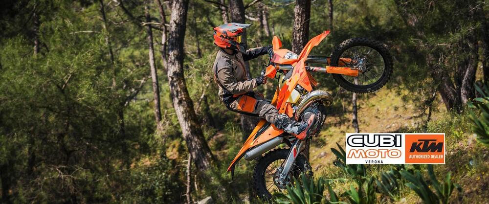 KTM 300 EXC Six Days (2025) (2)