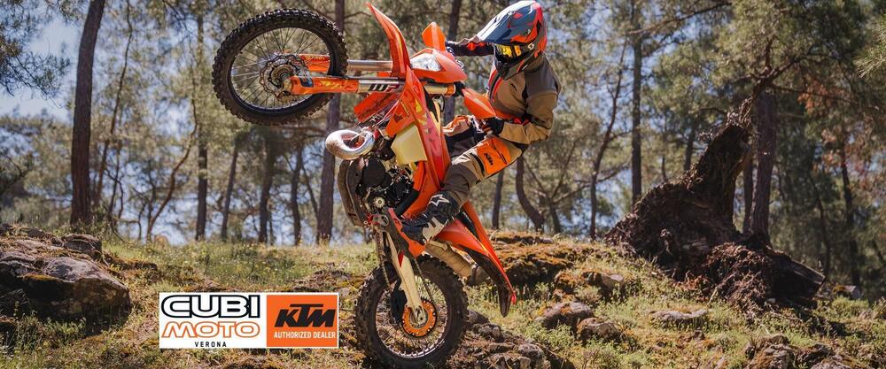 KTM 300 EXC Six Days (2025) (3)