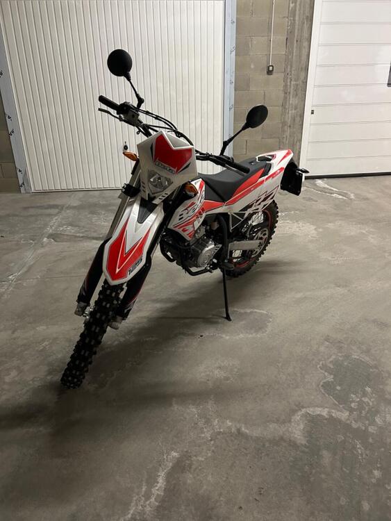 Betamotor RR 125 4T Enduro LC (2018 - 20) (5)