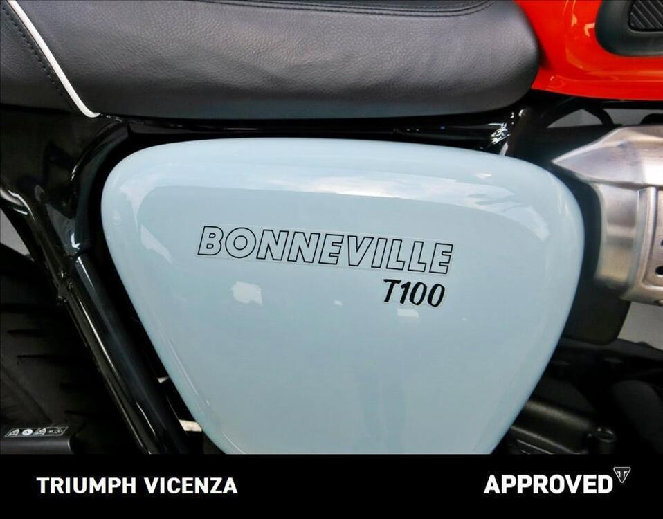 Triumph Bonneville T100 (2021 - 24) (5)