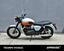 Triumph Bonneville T100 (2021 - 24) (6)