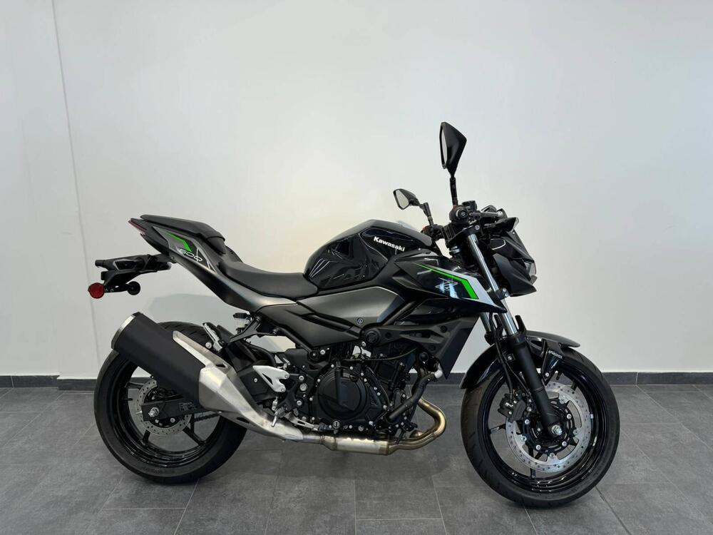 Kawasaki Z 500 (2024) (2)