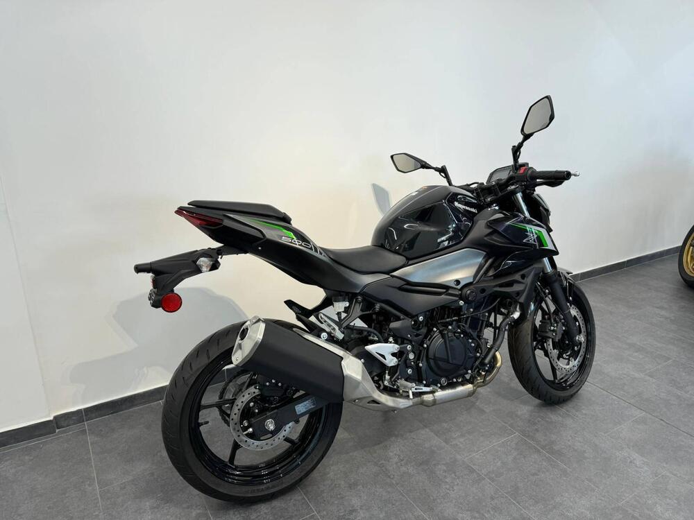 Kawasaki Z 500 (2024) (3)