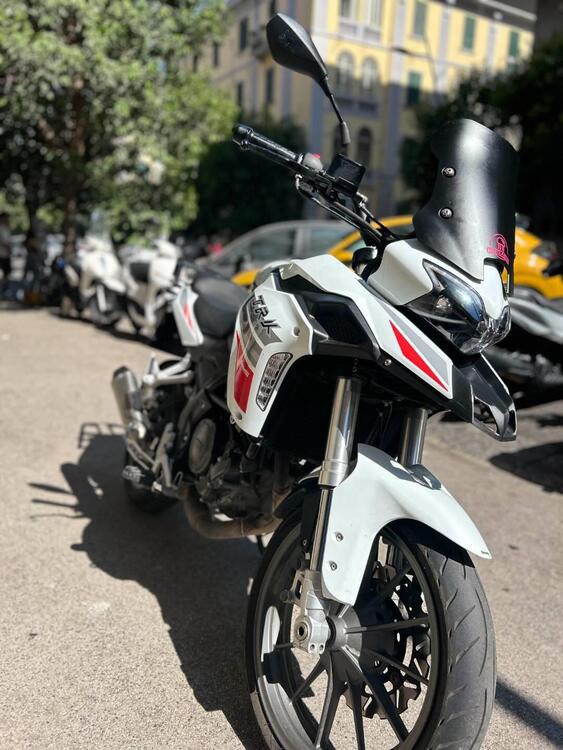 Benelli TRK 251 (2019 - 20) (3)