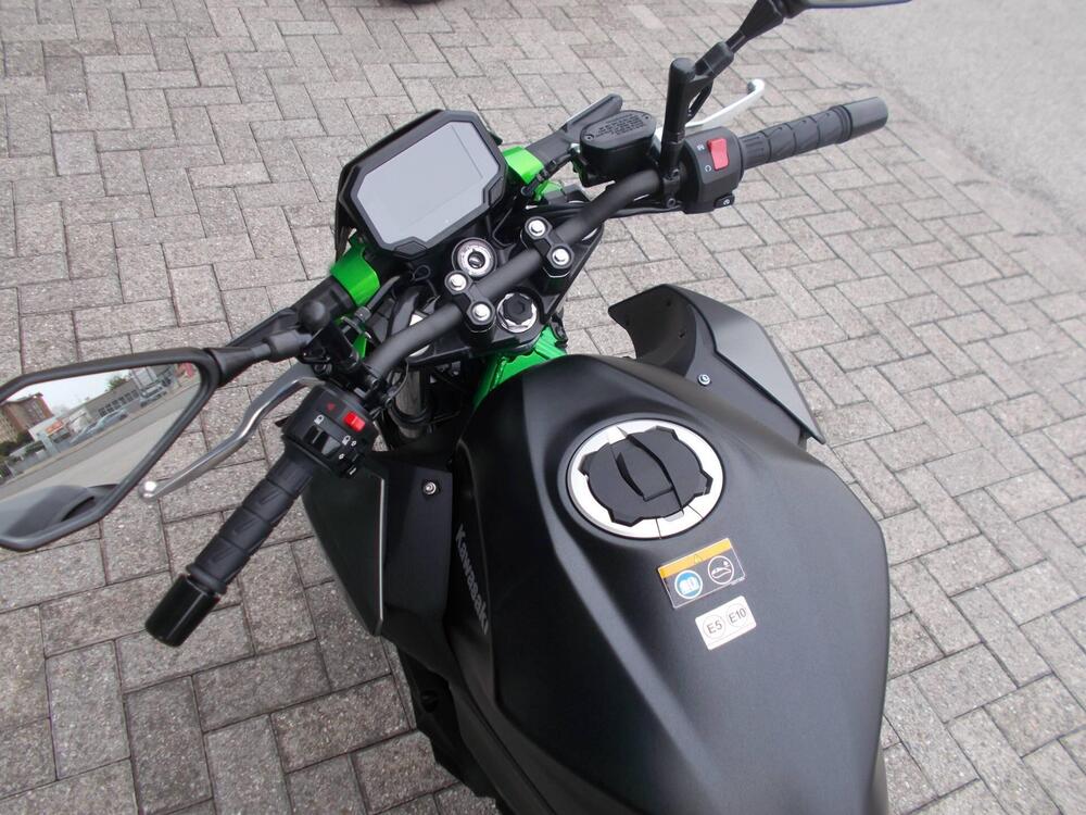 Kawasaki Z 500 SE (2024 - 25) (4)