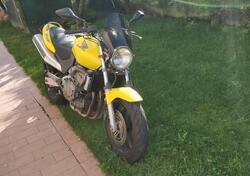 Honda Hornet 600 (2000 - 02) usata