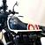 Royal Enfield Shotgun 650 (2024) (9)