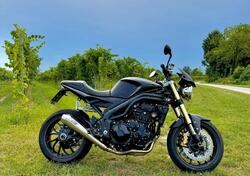 Triumph Speed Triple 1050 (2005 - 11) usata