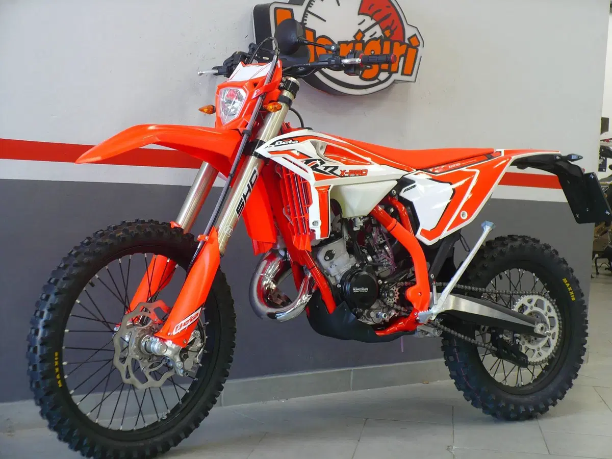 Betamotor RR X-PRO 250 2T Enduro (2026) (5)