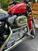 Harley-Davidson 883 Standard (1994 - 00) - XLH (6)