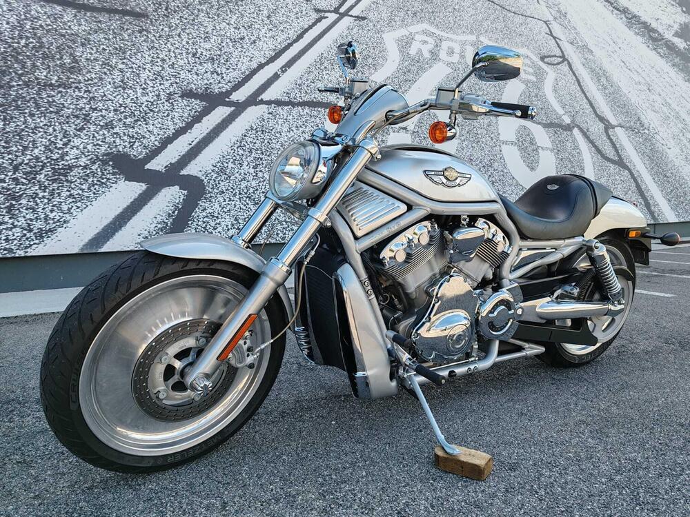 Harley-Davidson 1130 V-Rod (2002 - 05) - VRSCA (3)