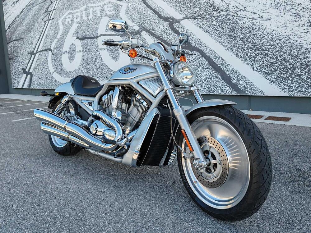 Harley-Davidson 1130 V-Rod (2002 - 05) - VRSCA (3)