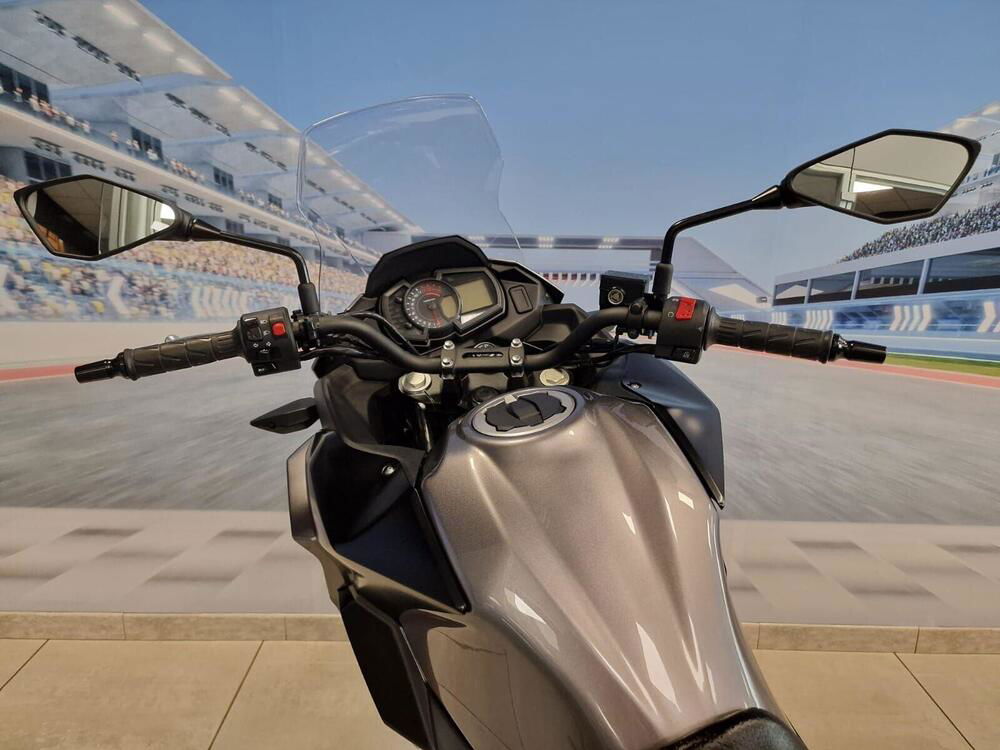 Kawasaki Versys-X 300 (2017 - 20) (5)