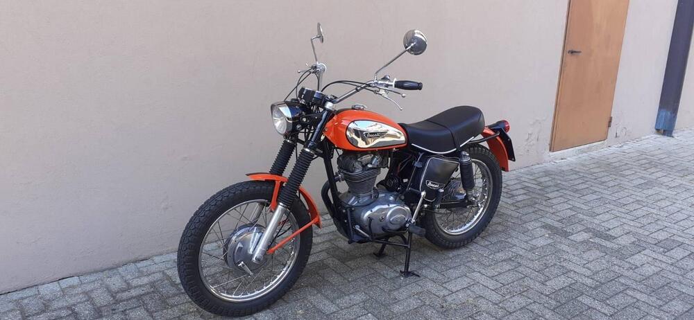 Ducati 350 SCRAMBLER