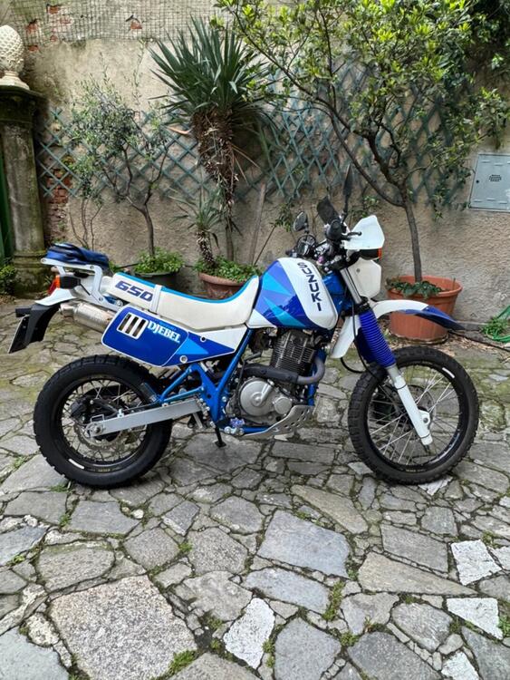 Suzuki DR 650 DJEBEL