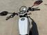 Ducati Scrambler 800 Desert Sled (2021 - 22) (7)