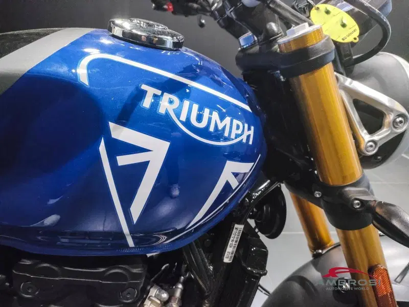 Triumph Speed 400 (2024 - 26) (13)