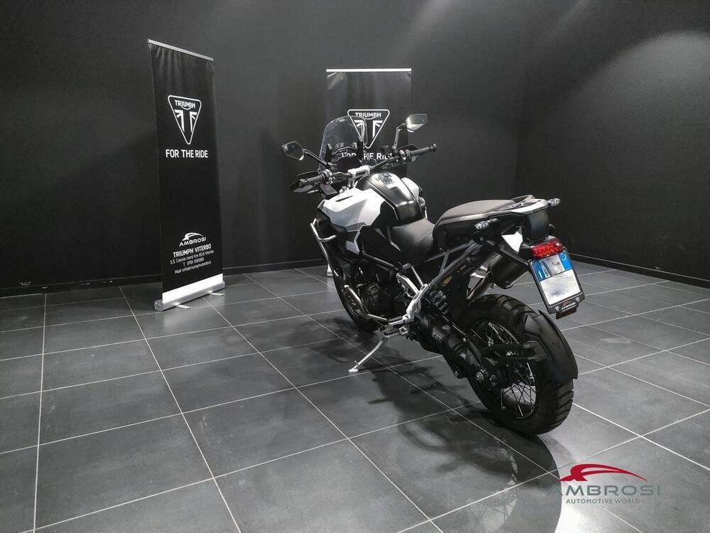 Triumph Tiger 1200 GT Explorer (2022 - 23) (4)