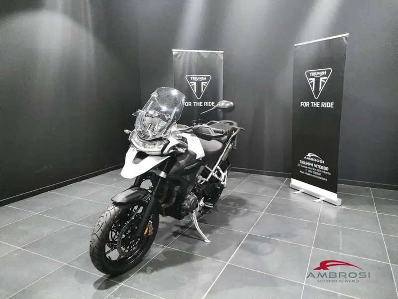 Triumph Tiger 1200 GT Pro (2024 - 26)