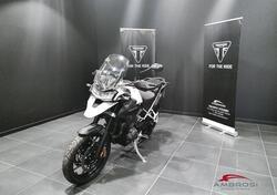 Triumph Tiger 1200 GT Pro (2024) usata