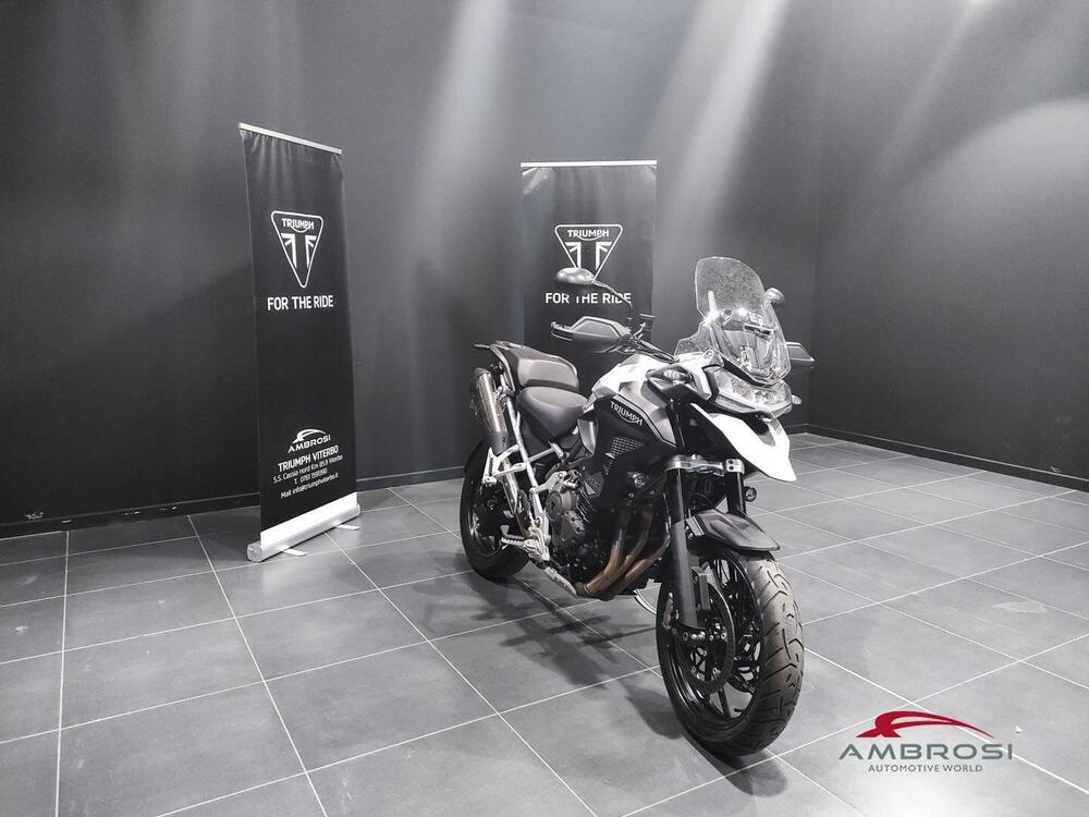 Triumph Tiger 1200 GT Pro (2024) (2)