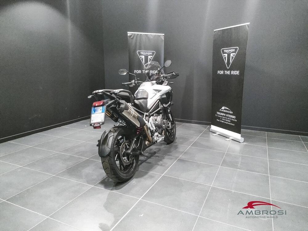 Triumph Tiger 1200 GT Pro (2024) (3)