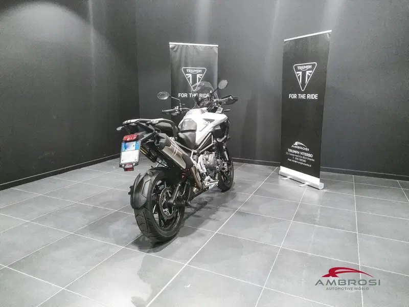 Triumph Tiger 1200 GT Pro (2024 - 26) (3)
